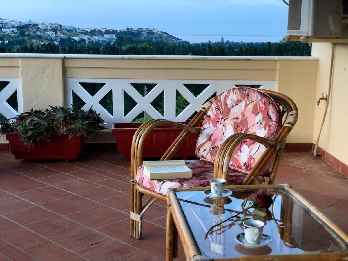 Villa Andros Epoque Livádhia Esterno foto