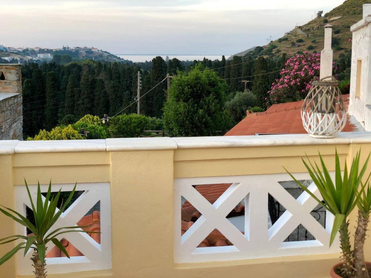 Villa Andros Epoque Livádhia Esterno foto