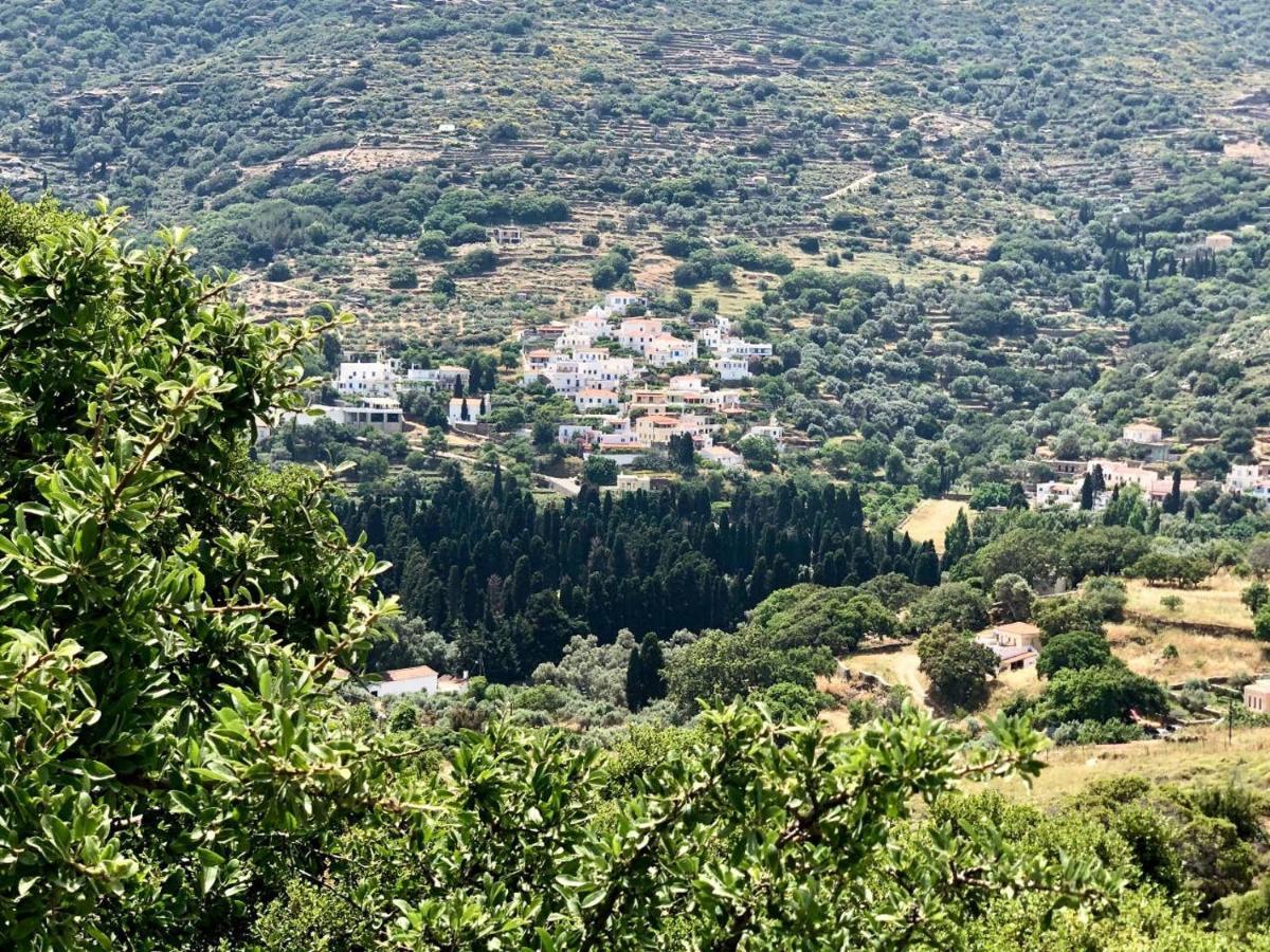 Villa Andros Epoque Livádhia Esterno foto